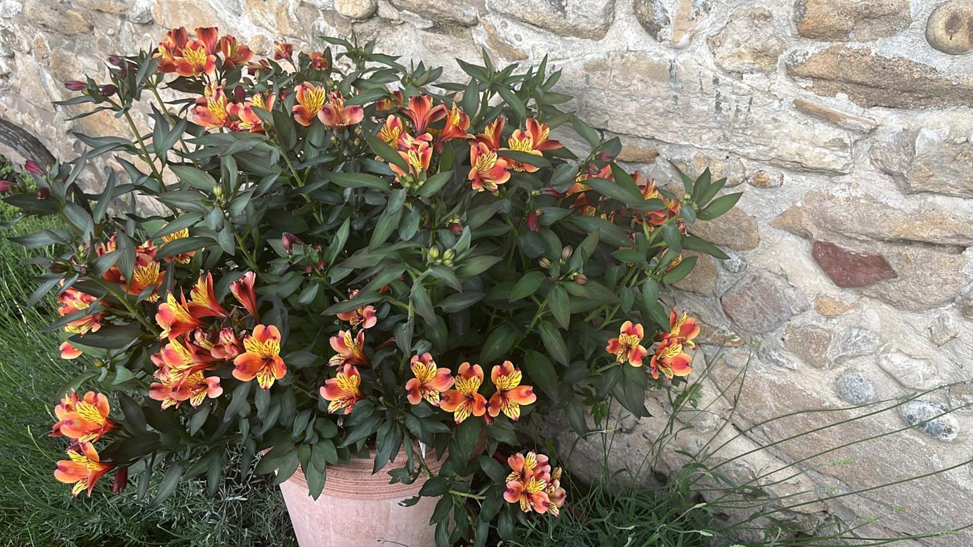 Maison En Provence Lapalud 外观 照片