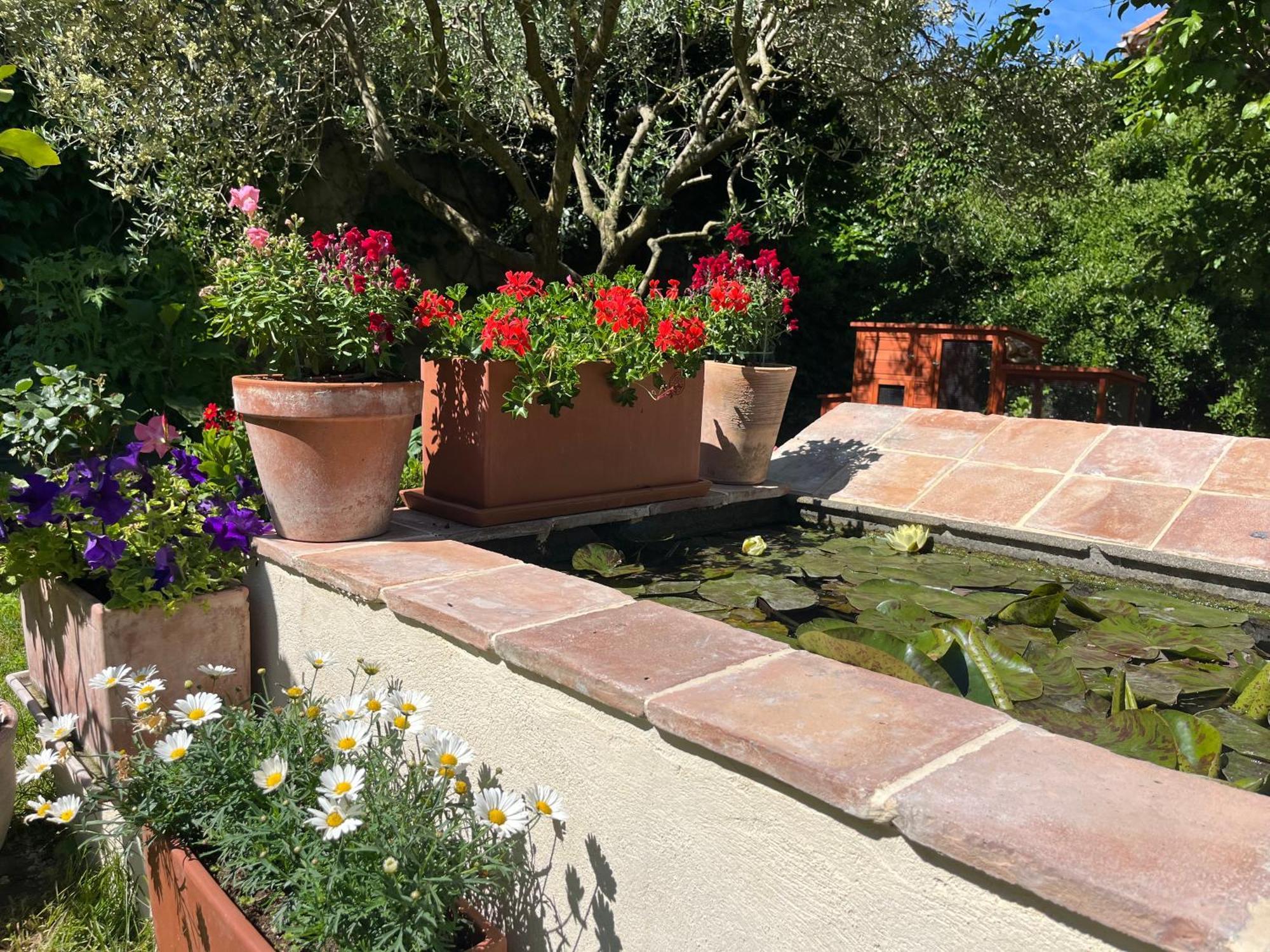 Maison En Provence Lapalud 外观 照片